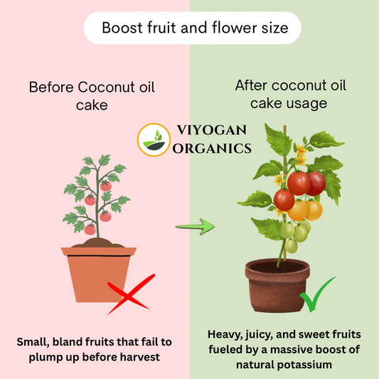 Premium Coconut Oil Cake Powder – Organic Nutrient Booster for Soil & Plants