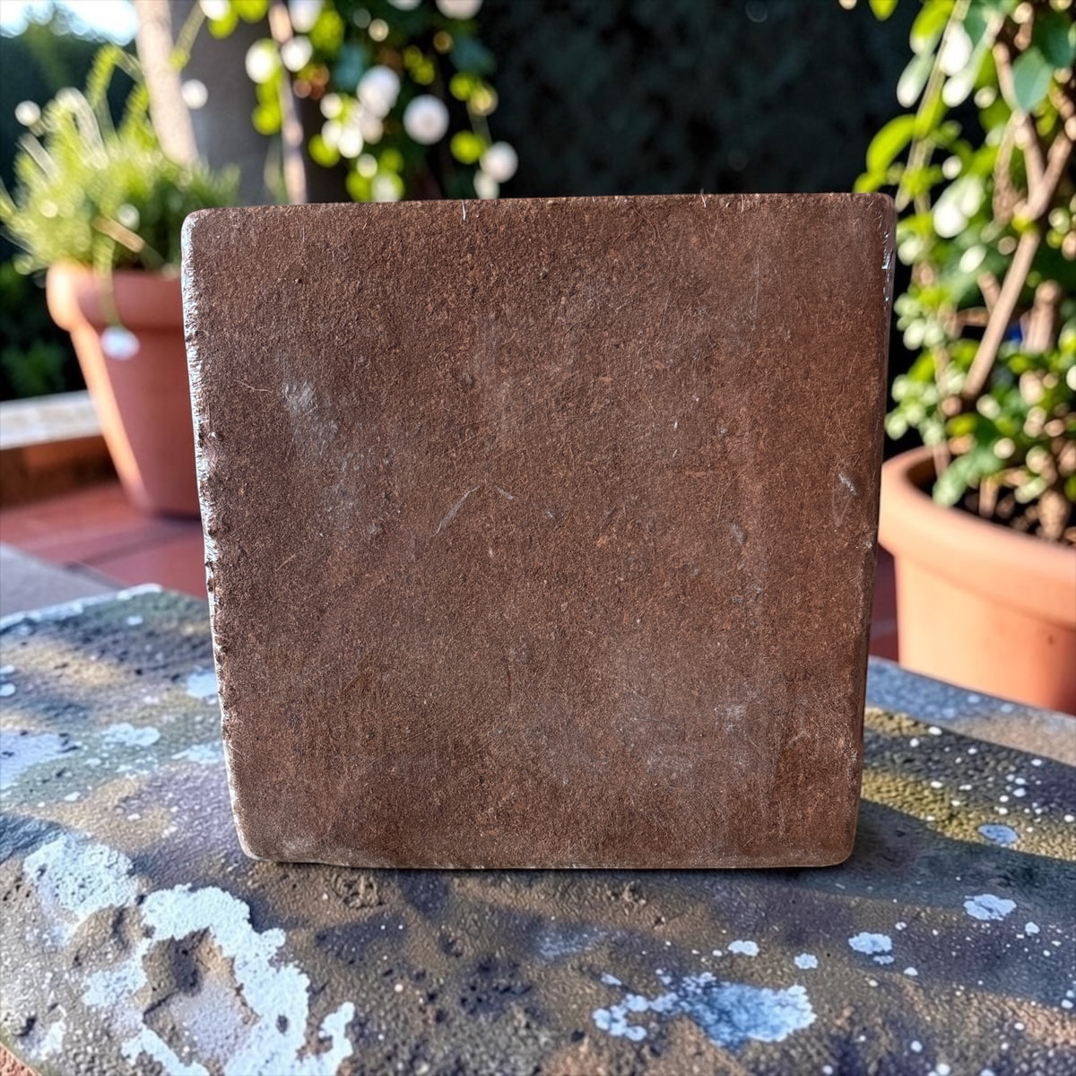 Viyogan Premium 5kg Cocopeat Blocks
