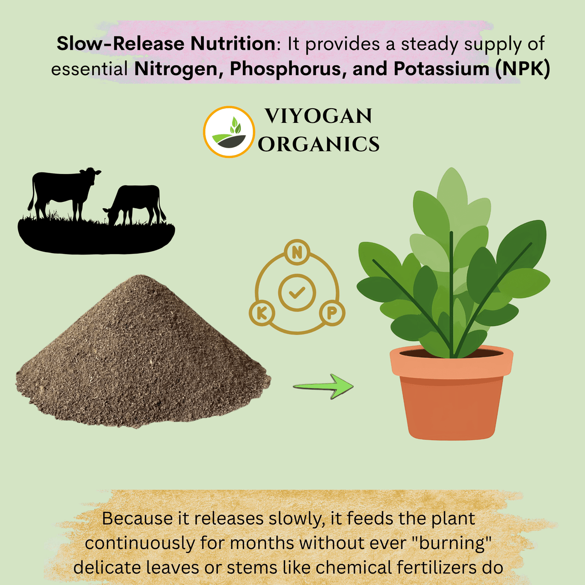 100% Decomposed Cow Dung Manure - Premium Organic Fertilizer