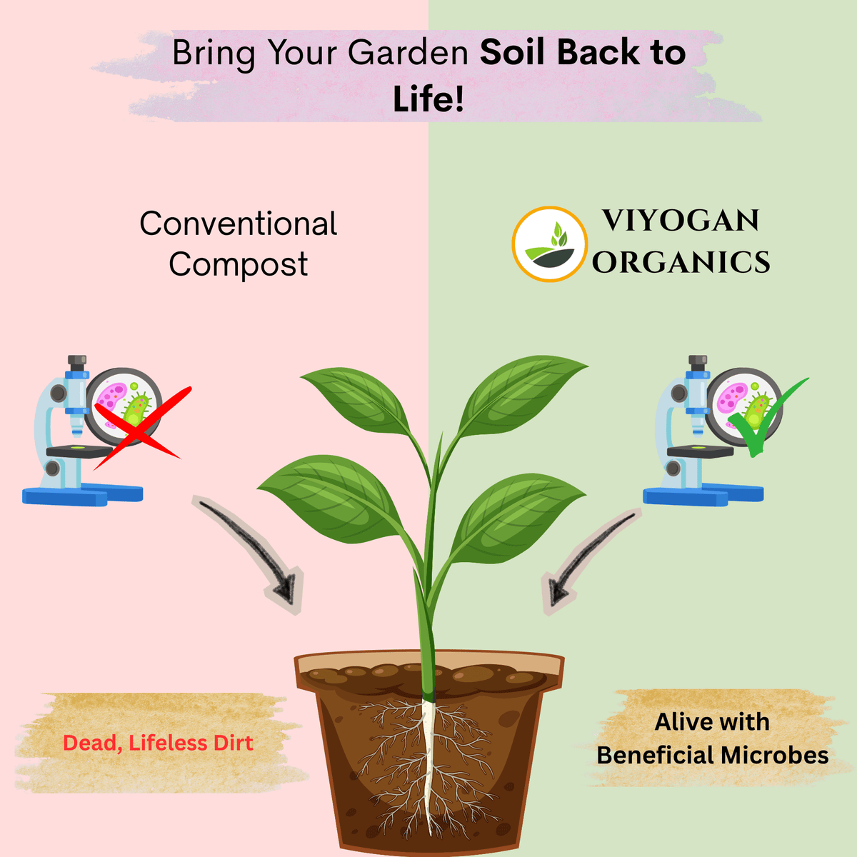 Premium Vermicompost – Organic Farming Grade Bio-Fertilizer