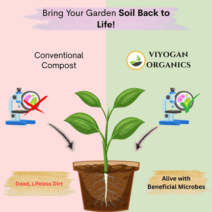 Premium Vermicompost – Organic Farming Grade Bio-Fertilizer