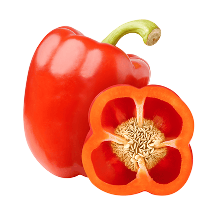Organic Capsicum Seeds for Terrace Gardening & Grow Bags