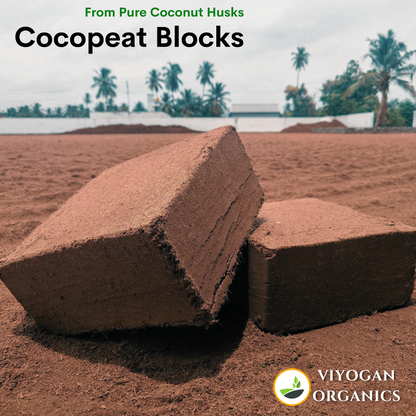 Cocopeat blocks