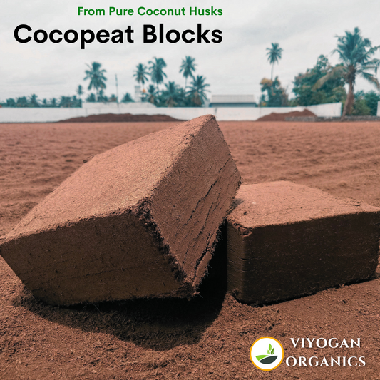 Cocopeat blocks