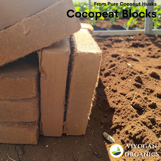 Cocopeat blocks