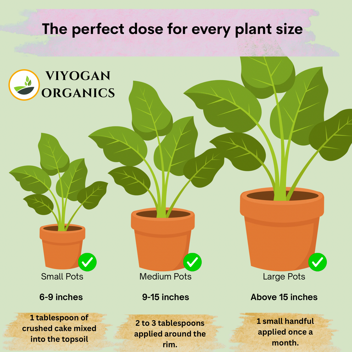 Premium Groundnut Cake Powder – High-Nitrogen Organic Growth Booster