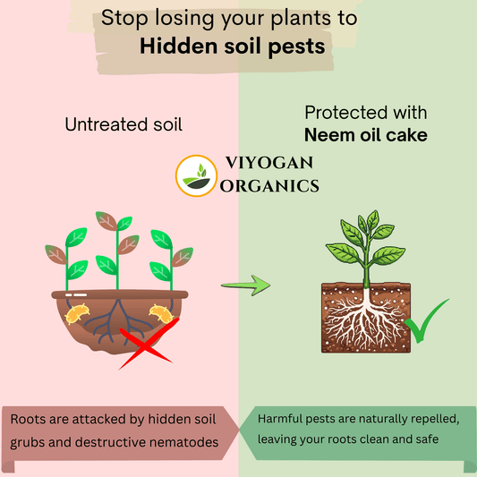Premium Neem Cake Powder – Dual-Action Organic Fertilizer & Natural Pest Repellent