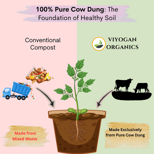 Premium Vermicompost – Organic Farming Grade Bio-Fertilizer