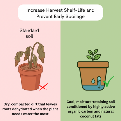 Premium Coconut Oil Cake Powder – Organic Nutrient Booster for Soil & Plants