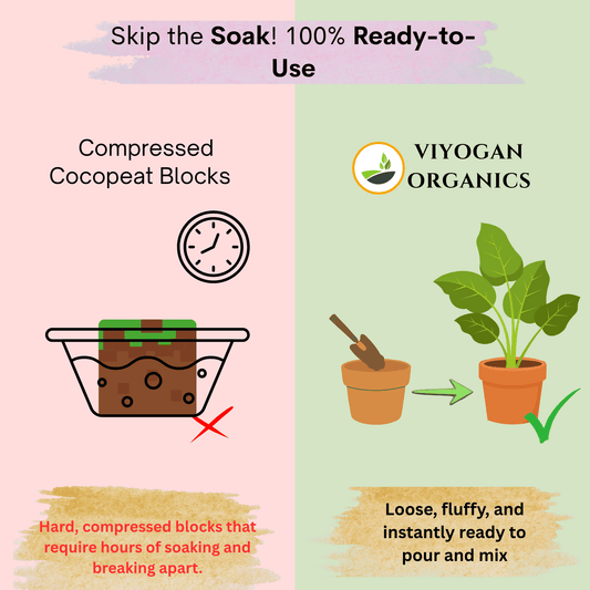 Premium Cocopeat Compost Powder – Ready-to-Use Organic Potting Mix Enrichment