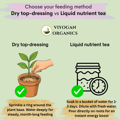 Premium Groundnut Cake Powder – High-Nitrogen Organic Growth Booster