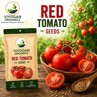 Native Country Tomato Seeds– 100% Organic, Heirloom & High-Germination Desi Seeds