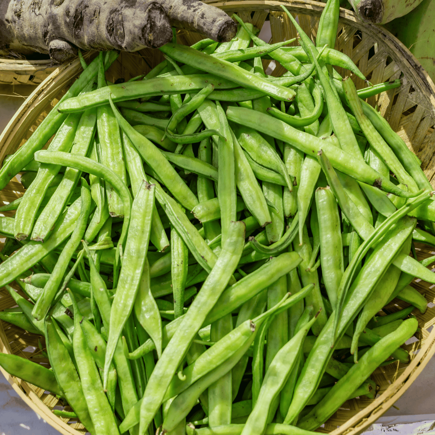 Desi Cluster Beans Seeds (Guar Phali) – High-Yielding, Bush Type & Heavy Bearing
