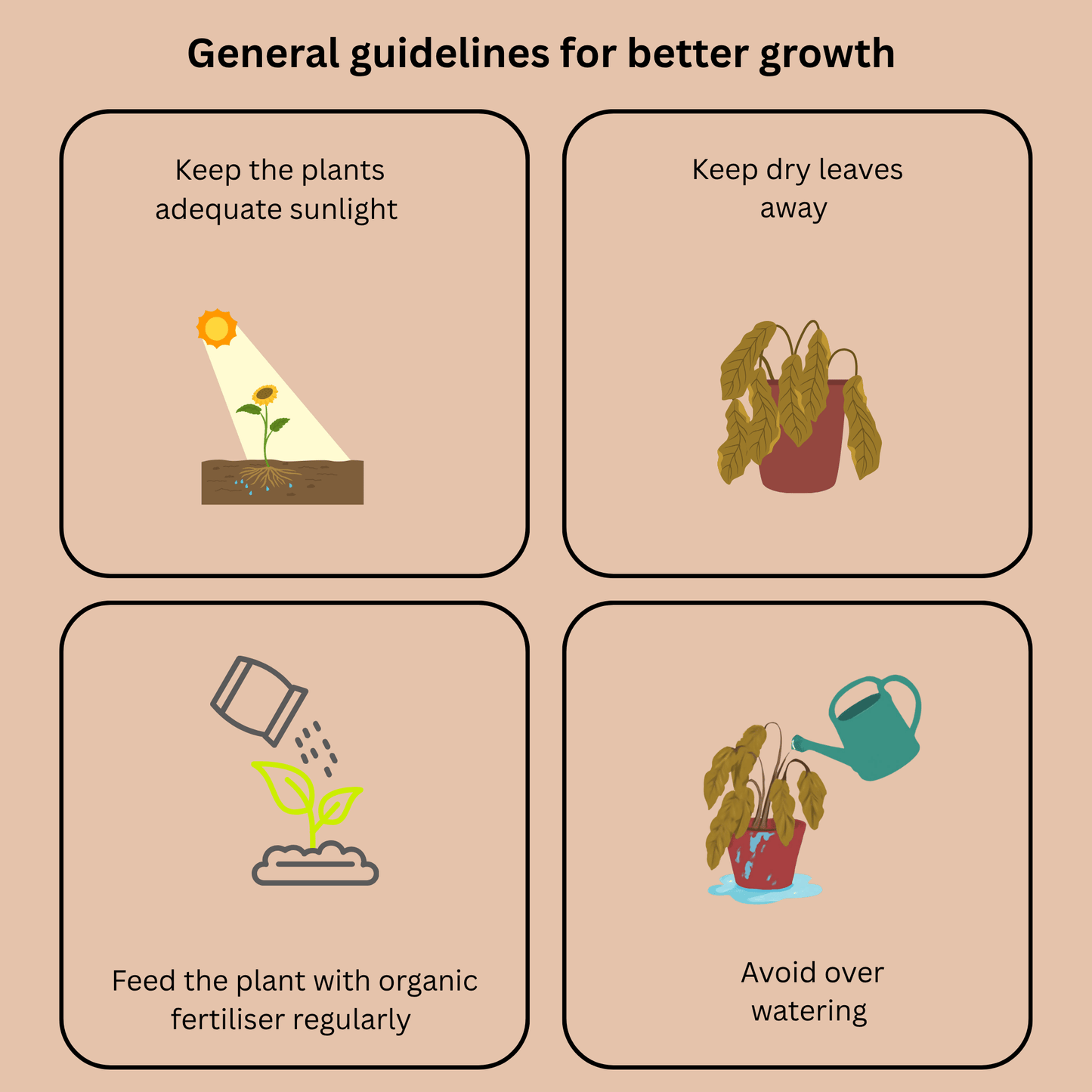 Premium Groundnut Cake Powder – High-Nitrogen Organic Growth Booster