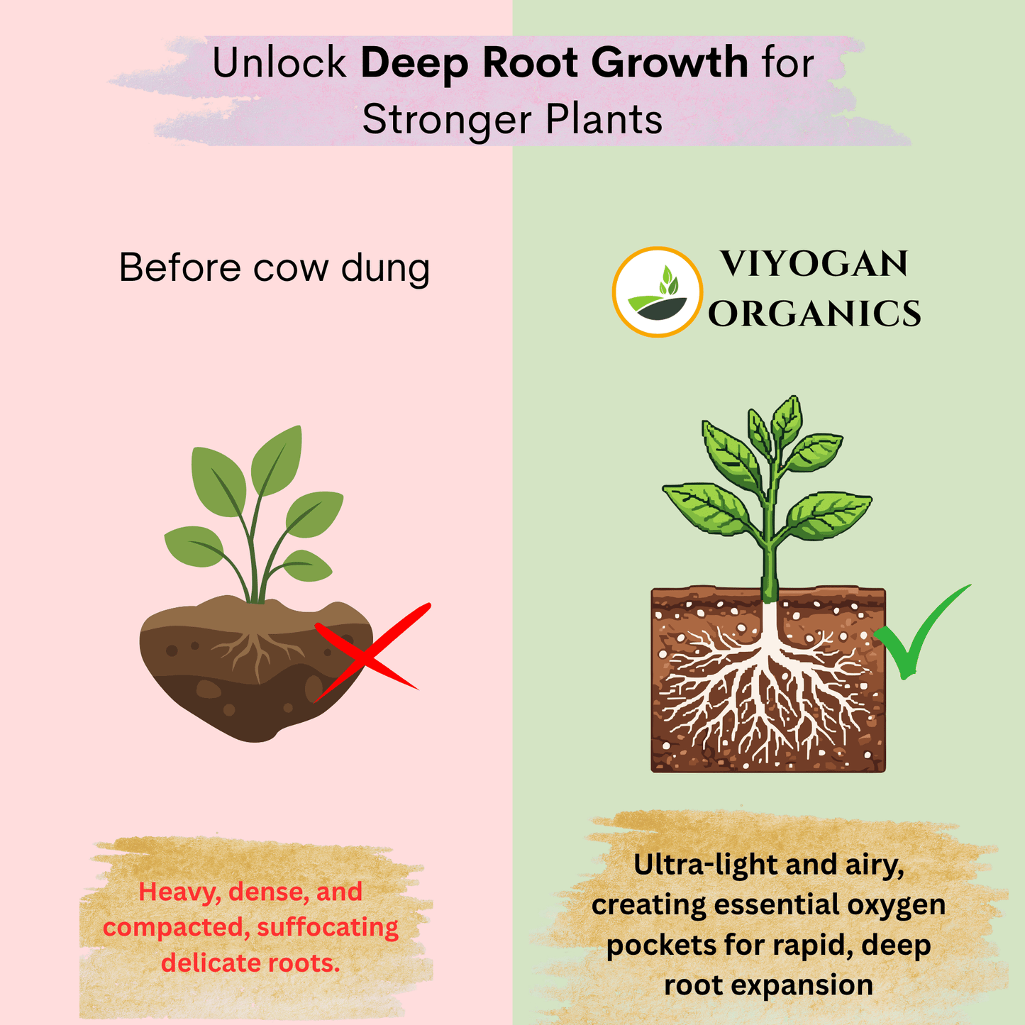 100% Decomposed Cow Dung Manure - Premium Organic Fertilizer