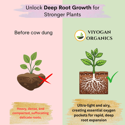 100% Decomposed Cow Dung Manure - Premium Organic Fertilizer