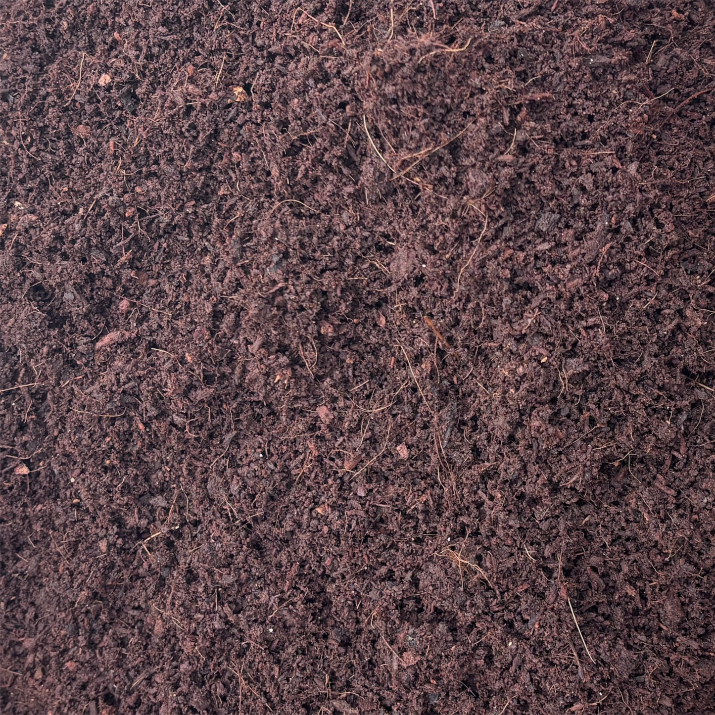 Cocopeat compost powder 