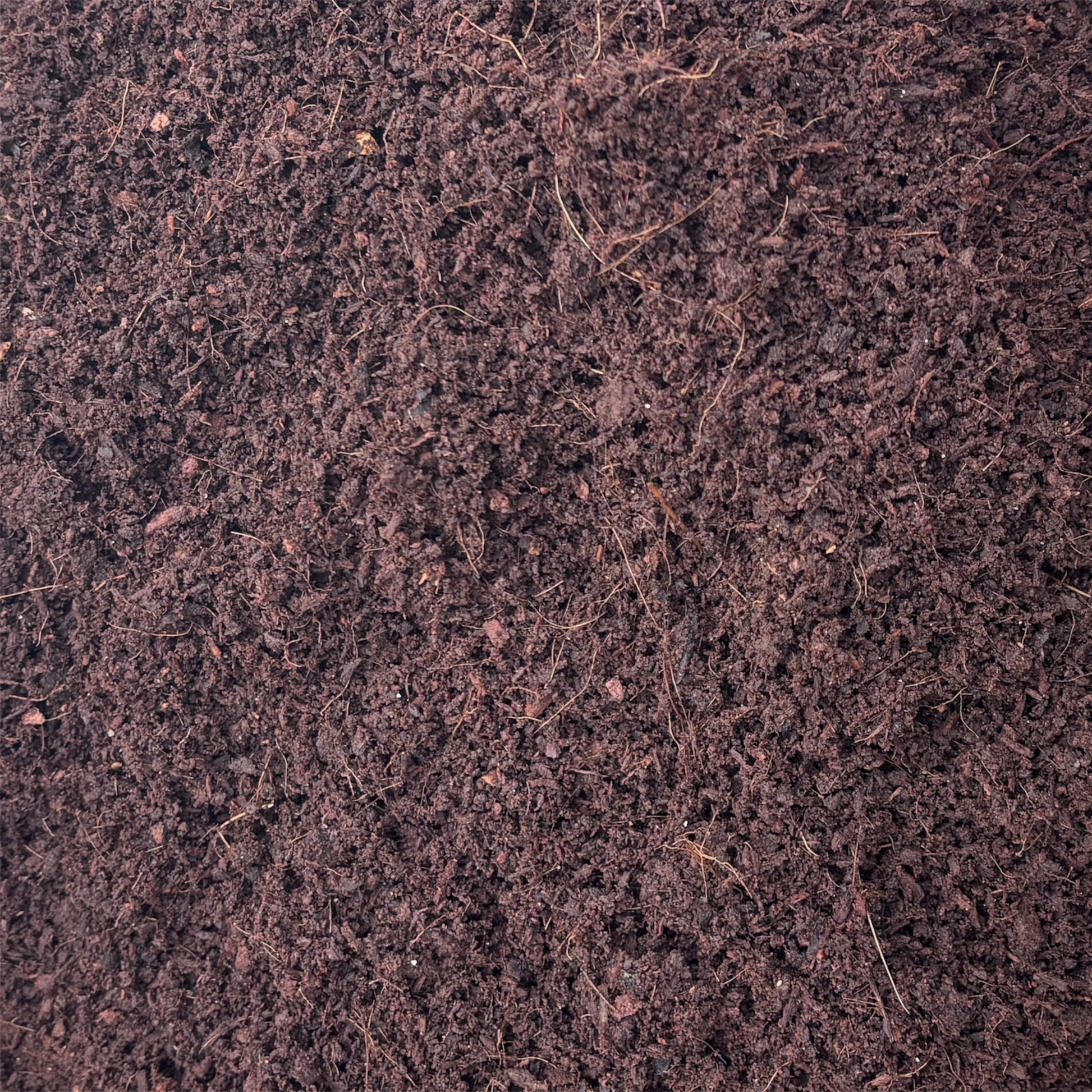 Cocopeat compost powder 