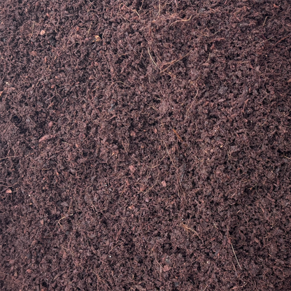 Cocopeat compost powder 