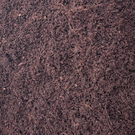 Cocopeat compost powder 