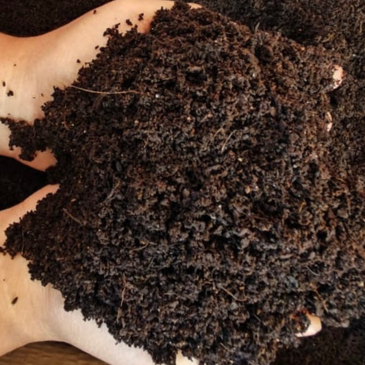 Cocopeat compost powder 