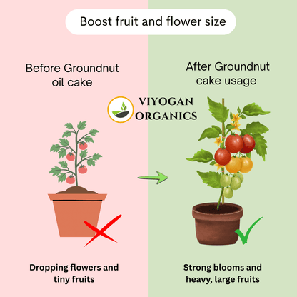Premium Groundnut Cake Powder – High-Nitrogen Organic Growth Booster
