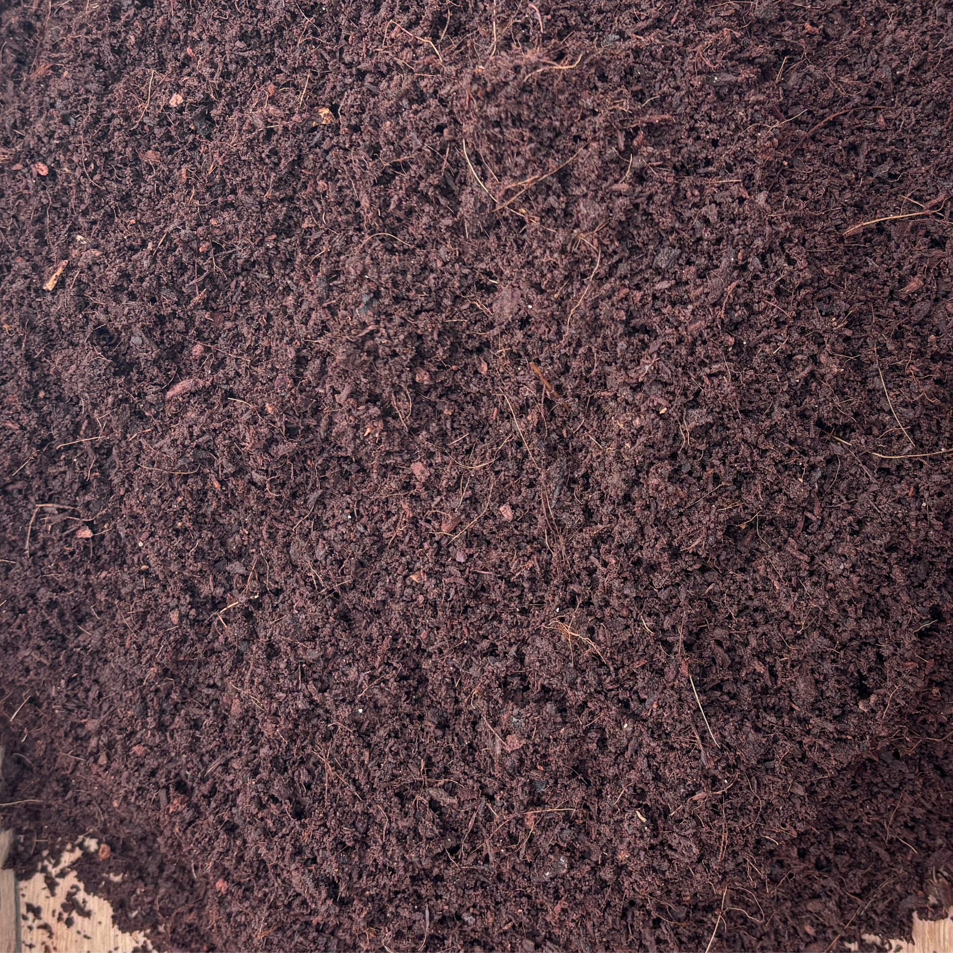 Cocopeat compost powder 