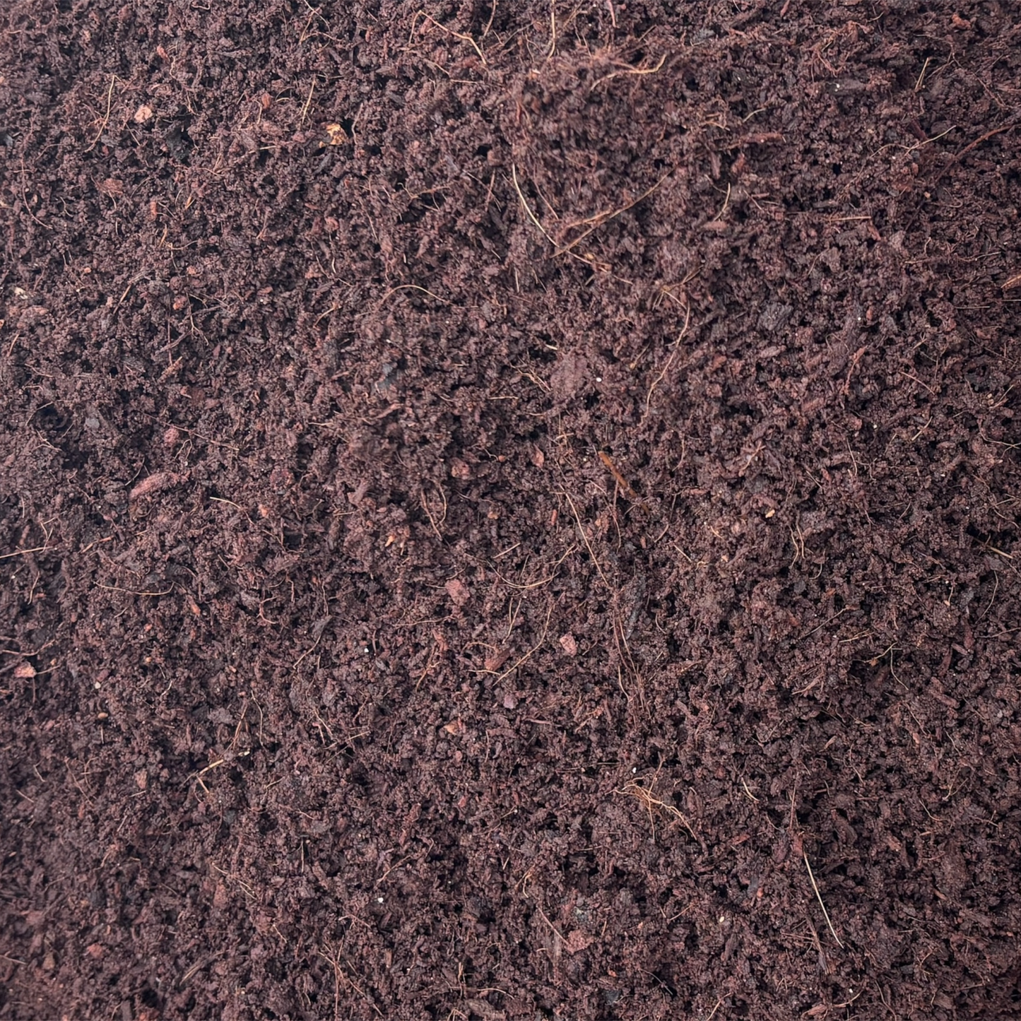 Cocopeat compost powder 