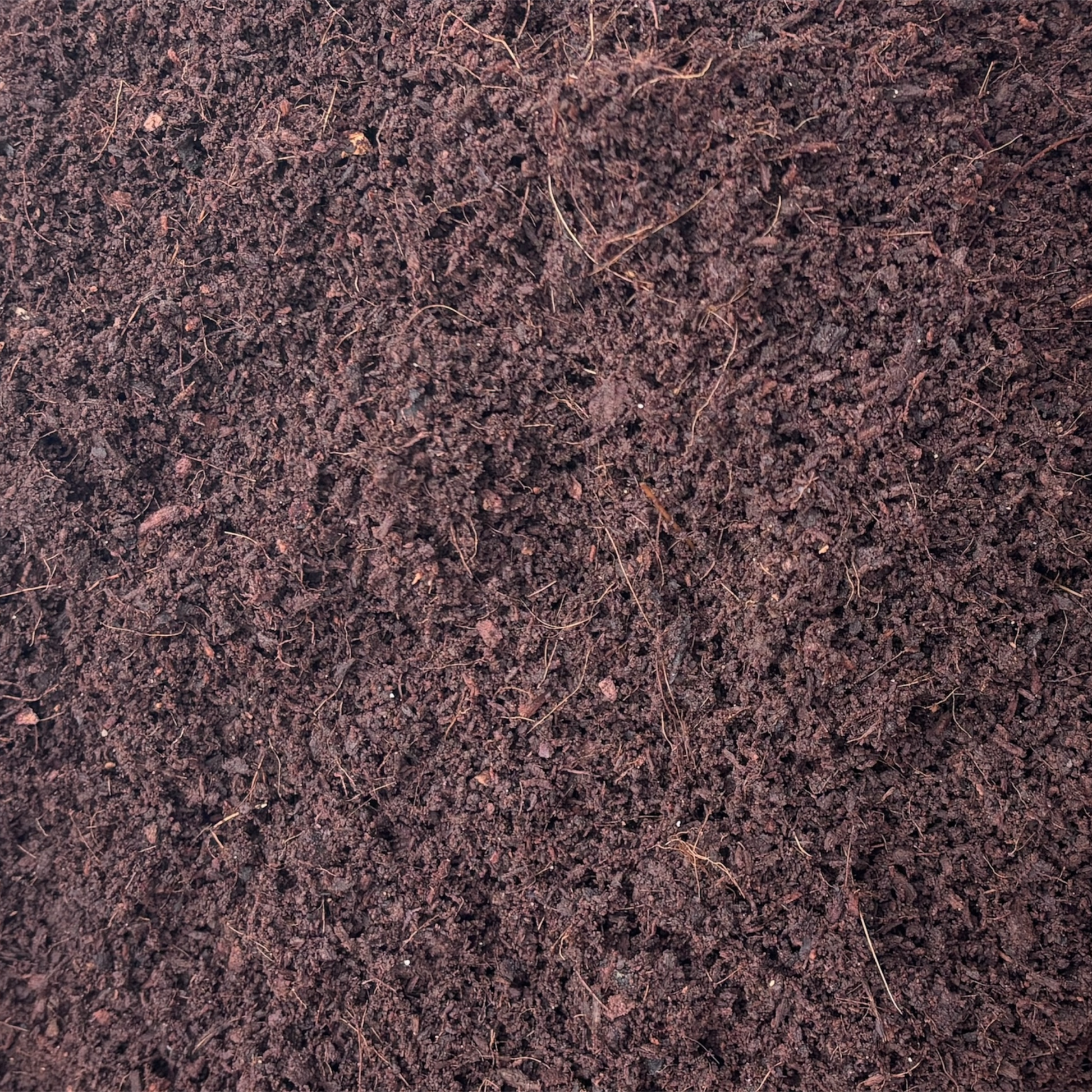 Cocopeat compost powder 