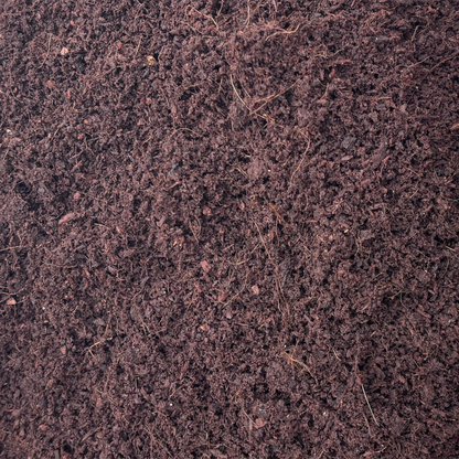 Cocopeat compost powder 