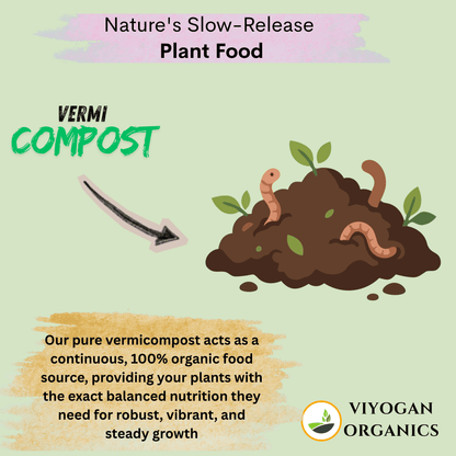 Premium All-Purpose Potting Mix – Organic Soil, Vermicompost, Cocopeat & Charcoal (Ready-to-Use)