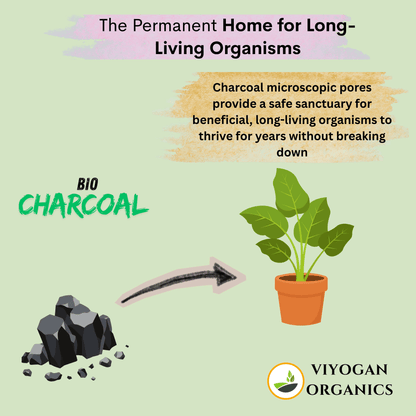 Premium All-Purpose Potting Mix – Organic Soil, Vermicompost, Cocopeat & Charcoal (Ready-to-Use)