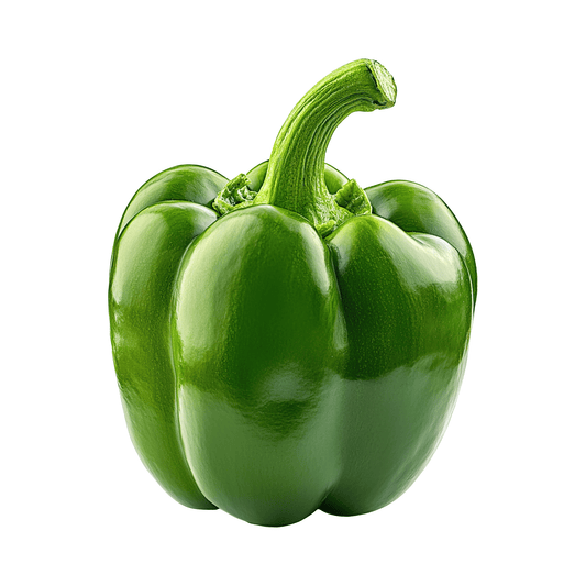 Organic Capsicum Seeds for Terrace Gardening & Grow Bags