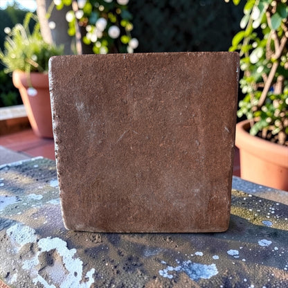 Viyogan Premium 5kg Cocopeat Blocks