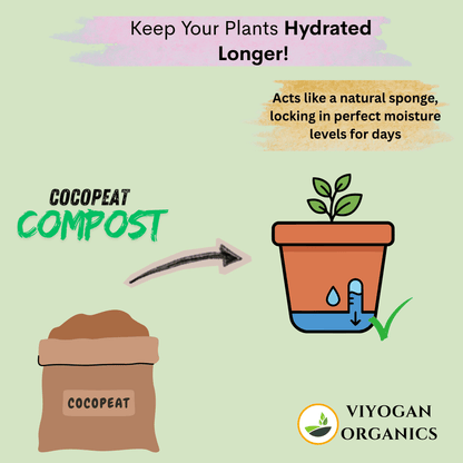 Premium All-Purpose Potting Mix – Organic Soil, Vermicompost, Cocopeat & Charcoal (Ready-to-Use)