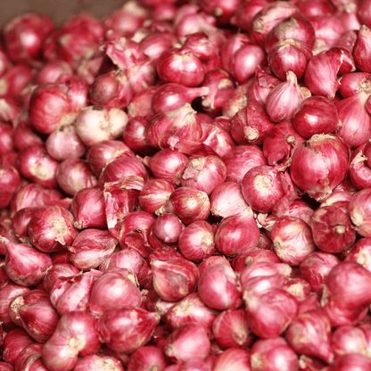Indian Small Onion Seeds (Shallots / Sambar Pyaz) – High-Yielding Desi Bulbing Seeds
