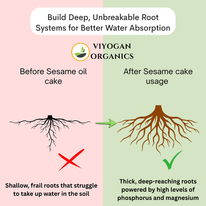 Premium Sesame Oil Cake Powder – High-Protein Organic Fertilizer for Blooming & Yield