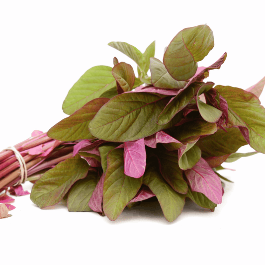 Native Sengeerai Seeds (Red Amaranth / Lal Saag) – Fast-Growing & Nutrient-Rich
