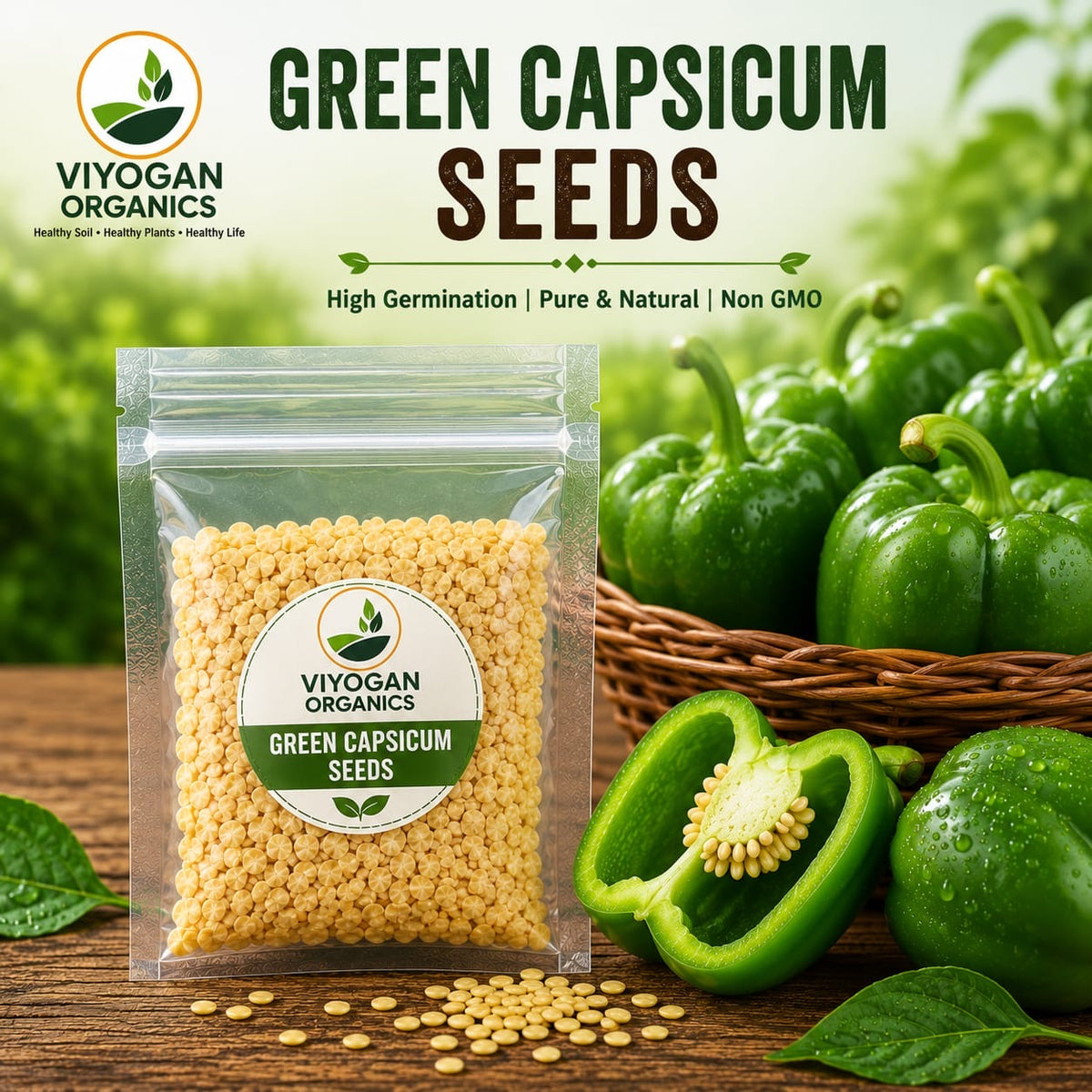 Organic Capsicum Seeds for Terrace Gardening & Grow Bags