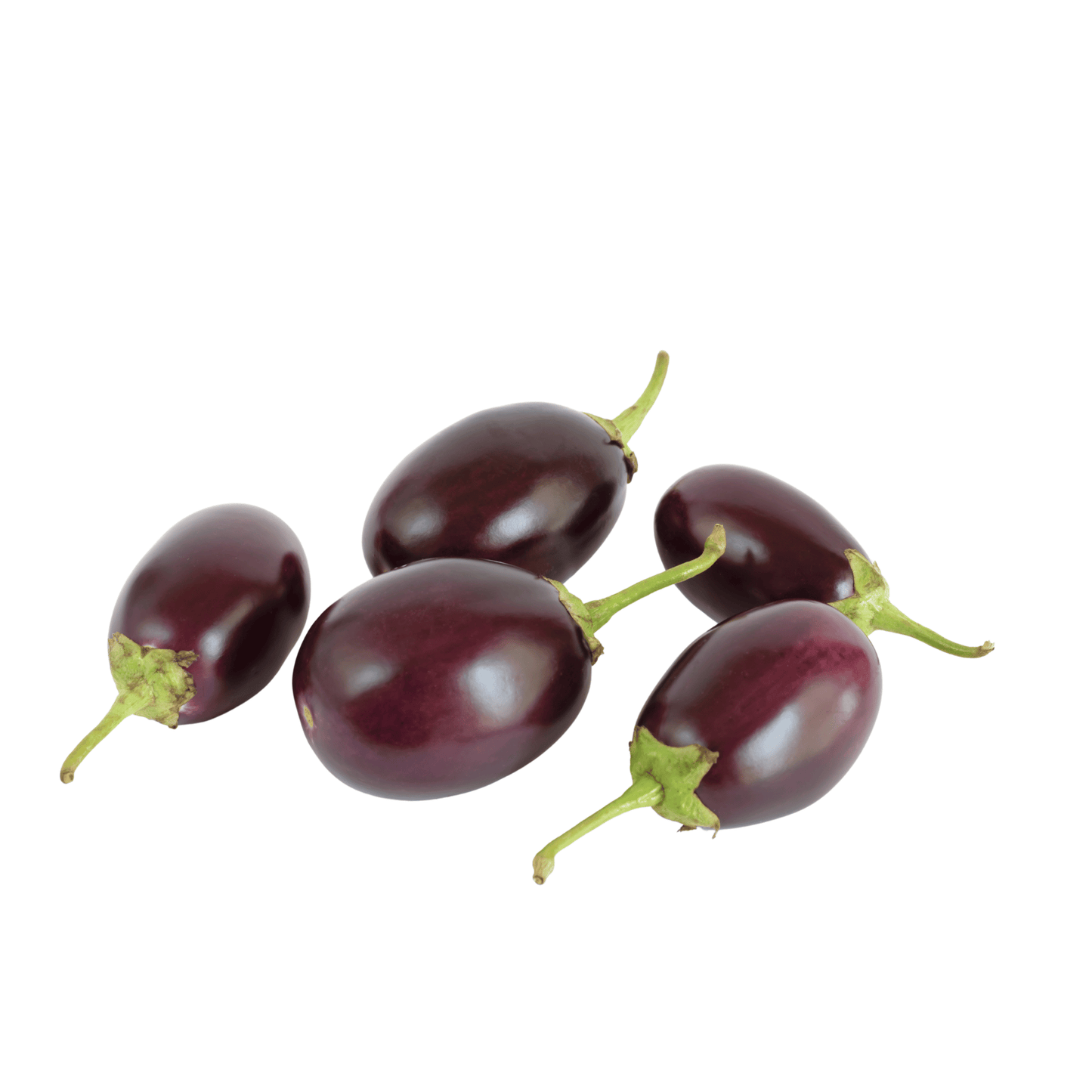 Native Brinjal / Eggplant Seeds – Traditional Varieties (100% Organic & Heirloom)