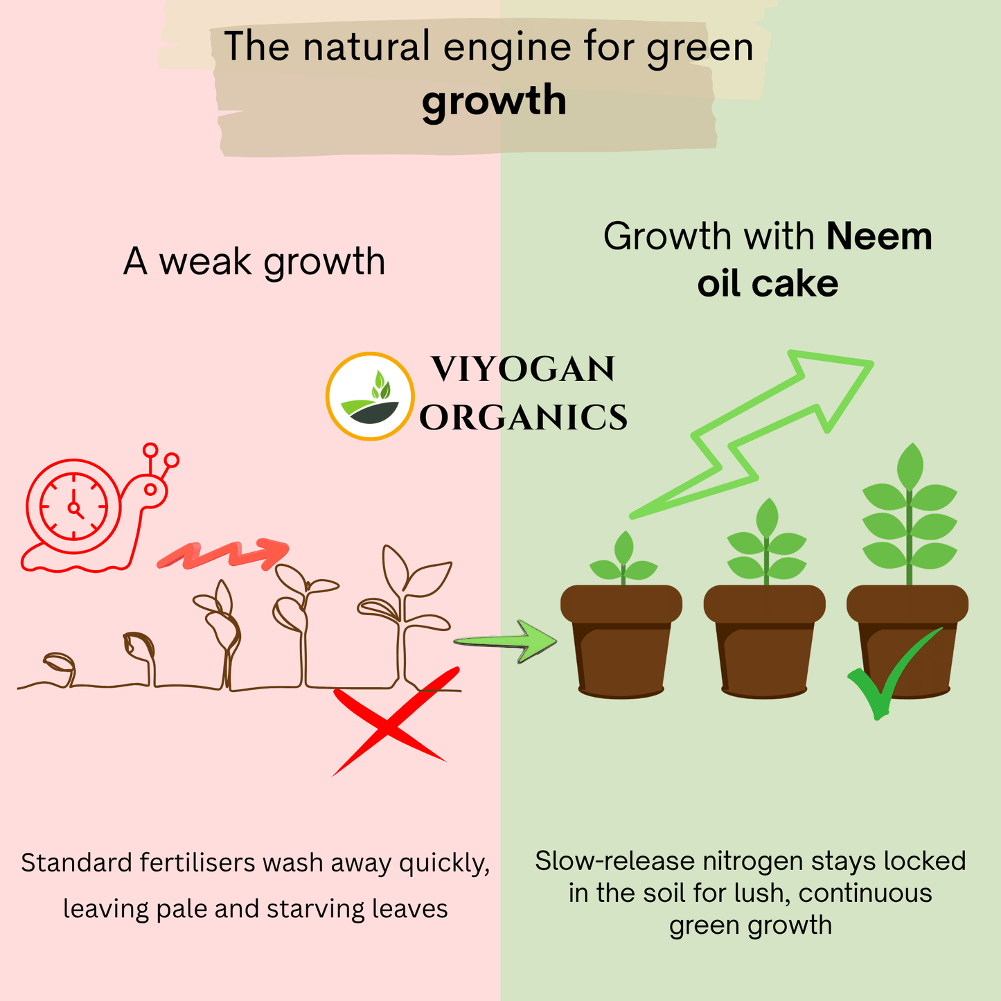 Premium Neem Cake Powder – Dual-Action Organic Fertilizer & Natural Pest Repellent