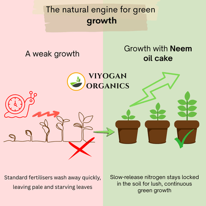 Premium Neem Cake Powder – Dual-Action Organic Fertilizer & Natural Pest Repellent