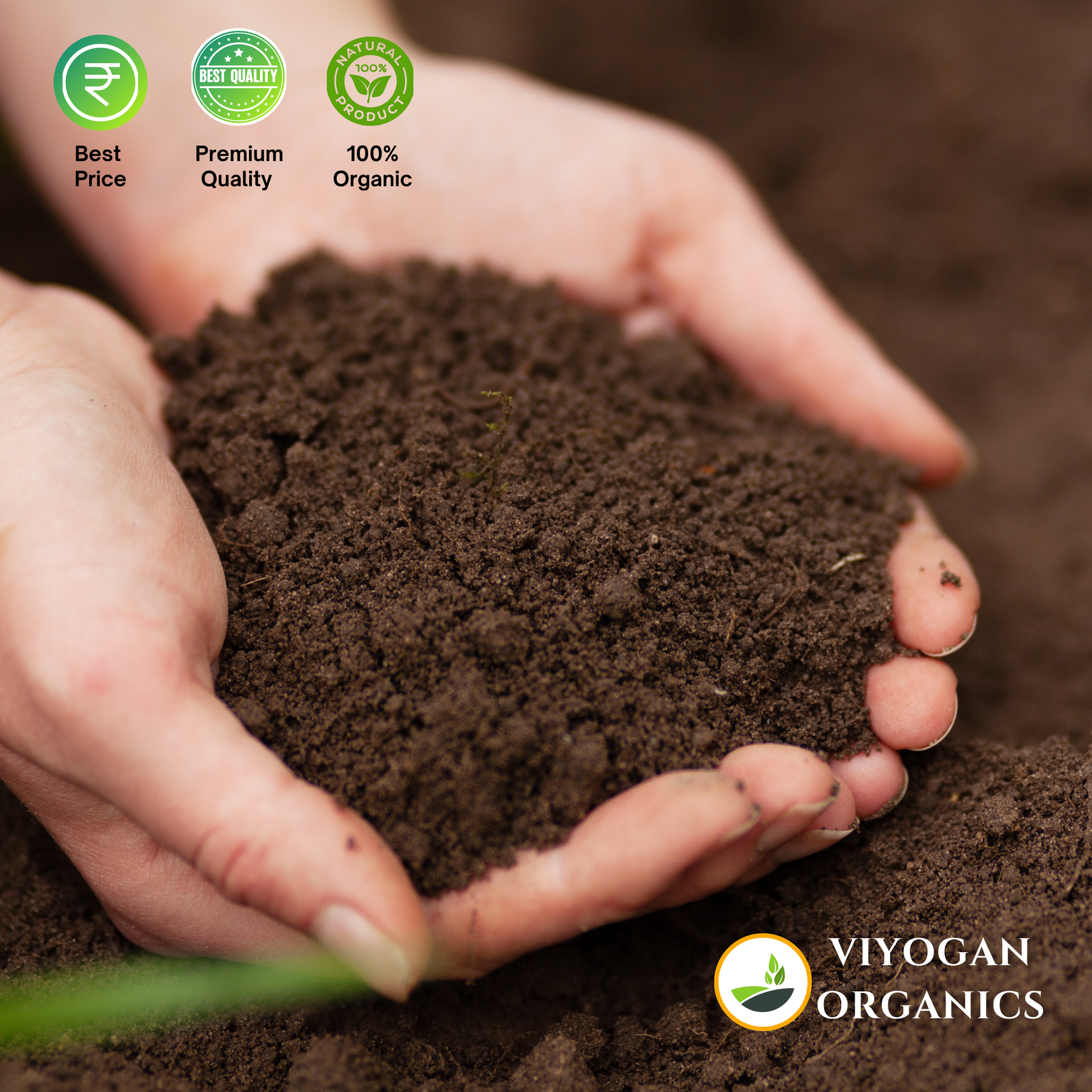 Organic vermi compost using cow dung