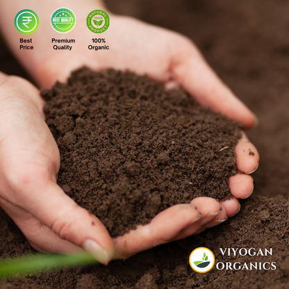 Organic vermi compost using cow dung