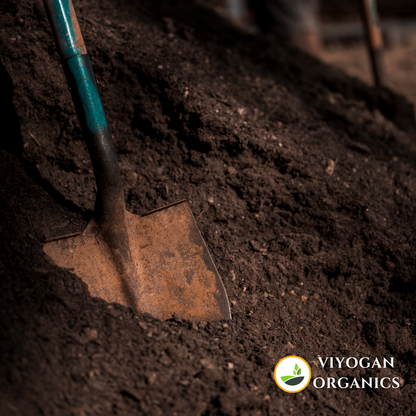 Organic vermi compost using cow dung